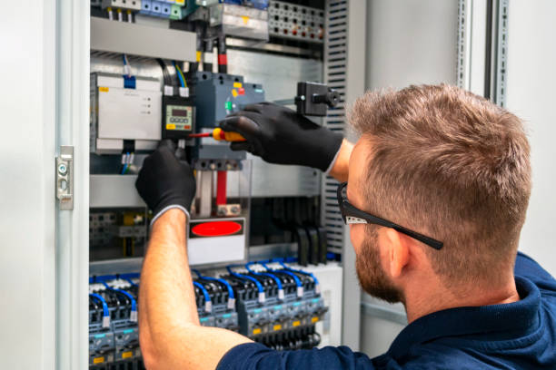 Best Electric Panel Repair  in Lake Ssota, WI